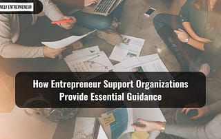 Entrepreneur Support Organizations